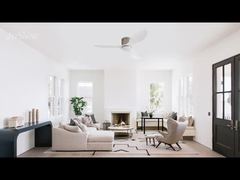 Ventilateur de plafond LED 2 en 1 avec pales en plastique de 48 pouces, moteur silencieux, idéal pour chambre et salon