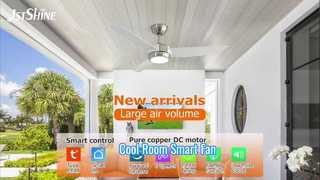 Lumière LED à distance pour ventilateur de plafond ABS de 48 pouces