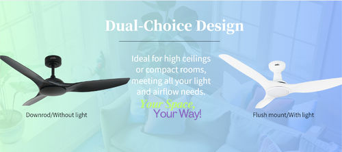 Dernières nouvelles de l'entreprise Un ventilateur, de nombreuses possibilités: Options personnalisables de 1stShine