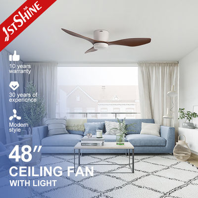 acheter Ventilateur de plafond en plastique pour plafond bas avec minuterie fabrication en ligne