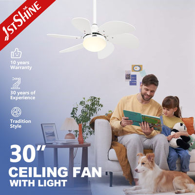 Lumière de ventilateur de plafond avec lames blanches et 6 vitesses 110-240V/50Hz-60Hz Voltage d'entrée