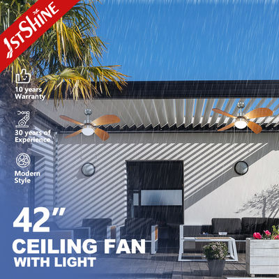 110-240V/50Hz-60Hz ventilateur de plafond extérieur avec lumière LED et fonction d'air de refroidissement