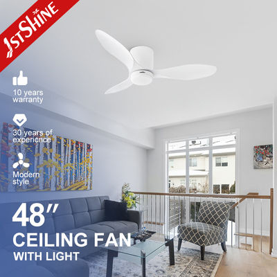 Ventilateur de plafond en plastique à 5 vitesses Ventilateur électrique fini blanc avec moteur