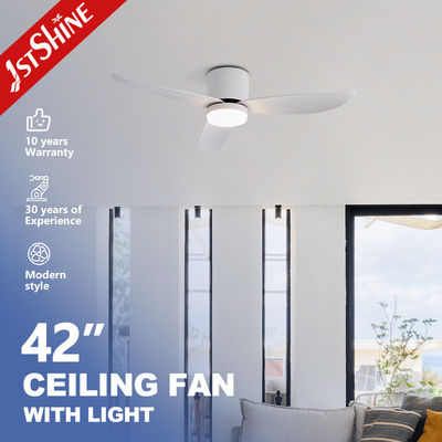 Conception de monture à évacuation de courant ventilateur de plafond 2 en 1 lumière LED facultative pour 220V Voltage et lame ABS